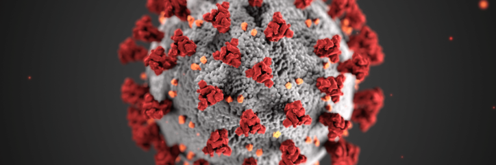 IMPORTANTE: Procedimiento oficial de actuación frente al coronavirus en la empresa